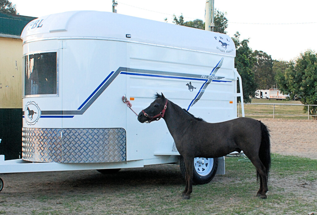 3 Horse, Single Axle Miniature Float 