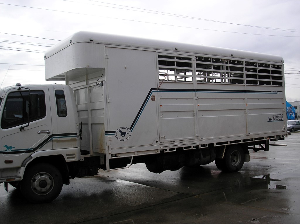 Truck Horse Body 1